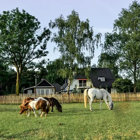 B&B De Zandhoef