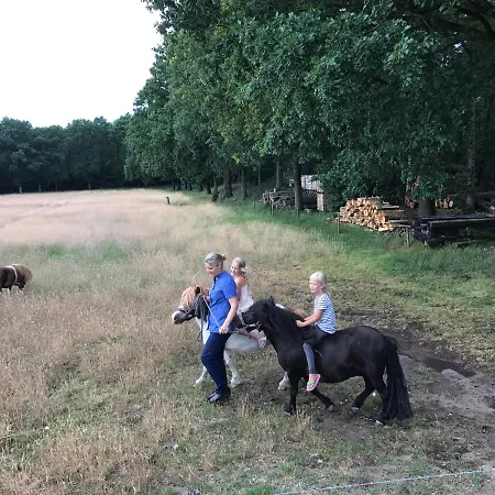 B&B De Zandhoef