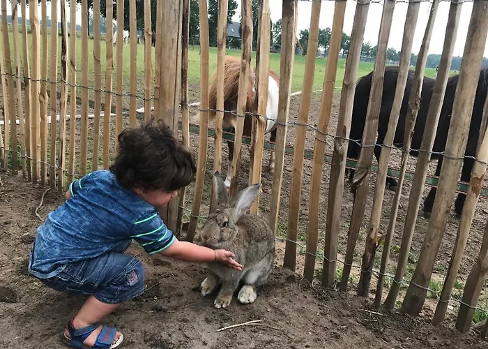 De Zandhoef Domek letniskowy *