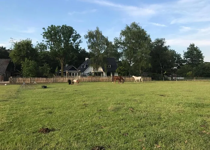 De Zandhoef * Eersel